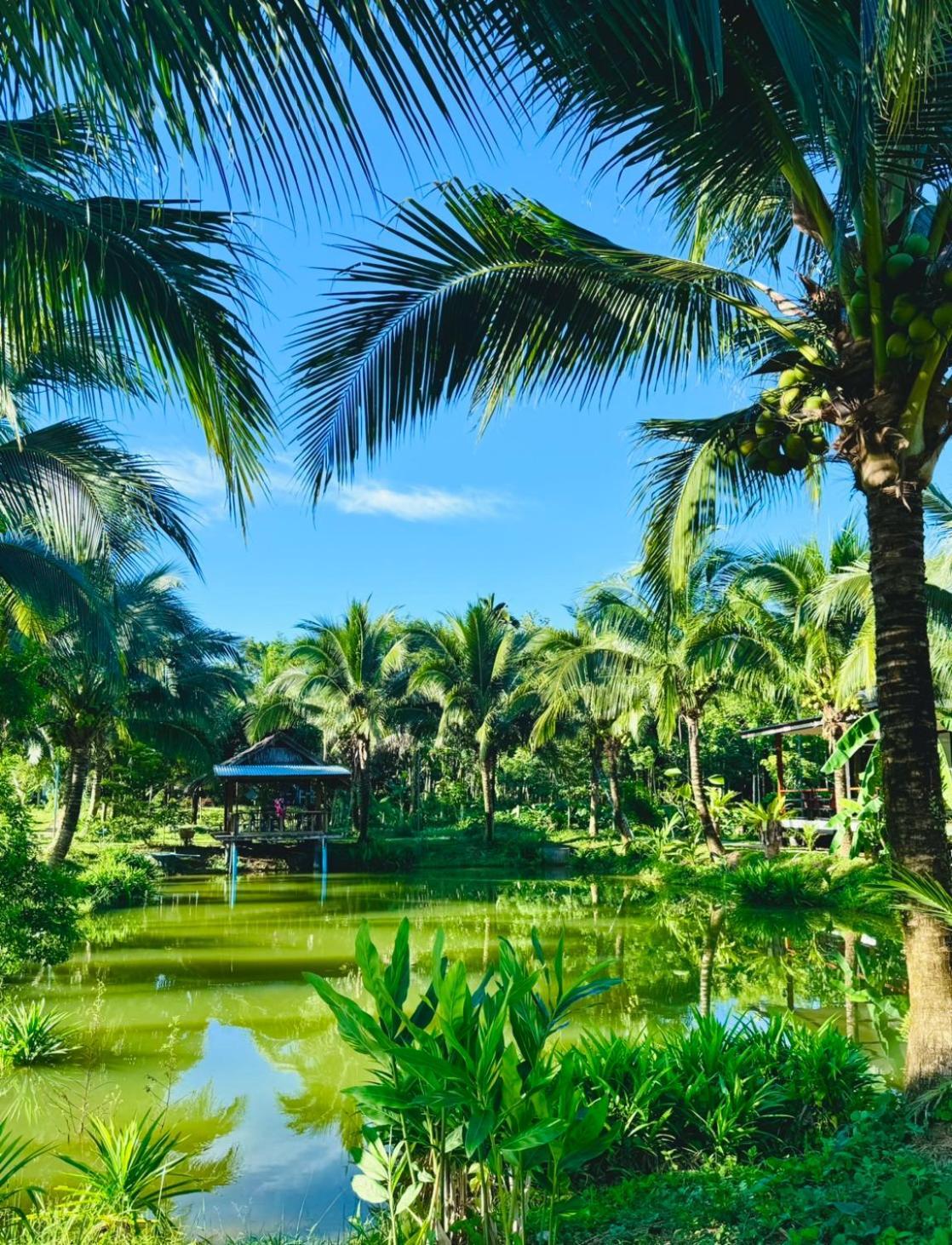 Bang Mee Homestay Koh Yao Noi 외부 사진