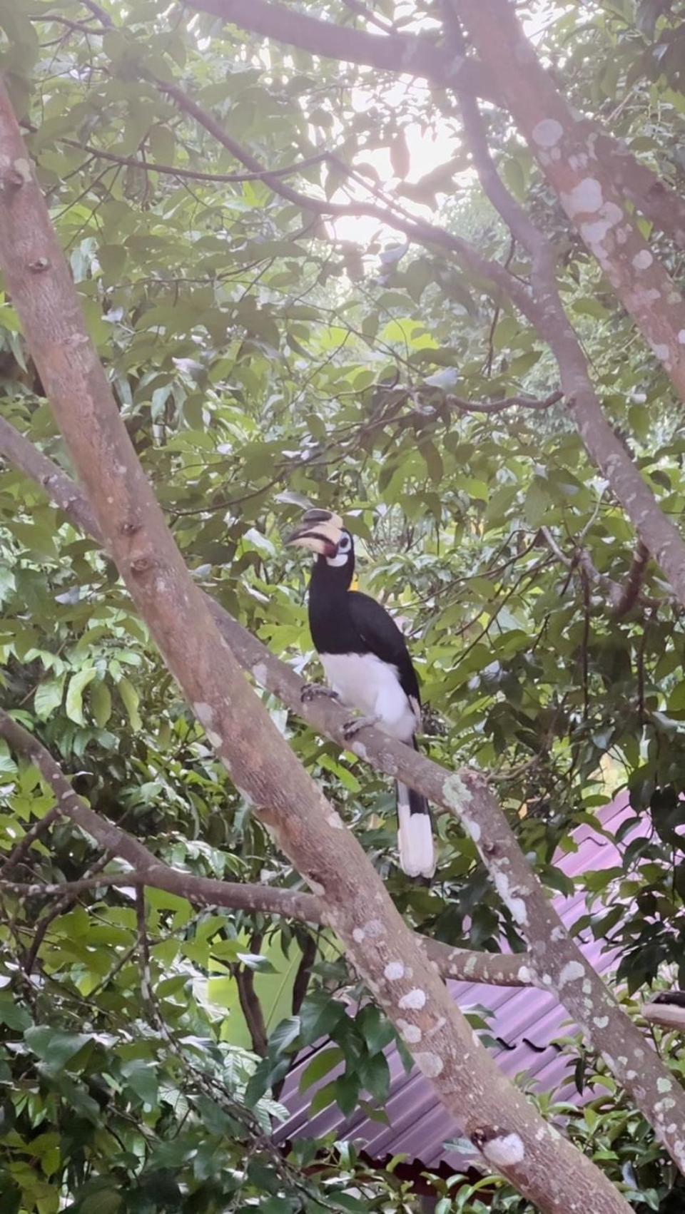 Bang Mee Homestay Koh Yao Noi 외부 사진