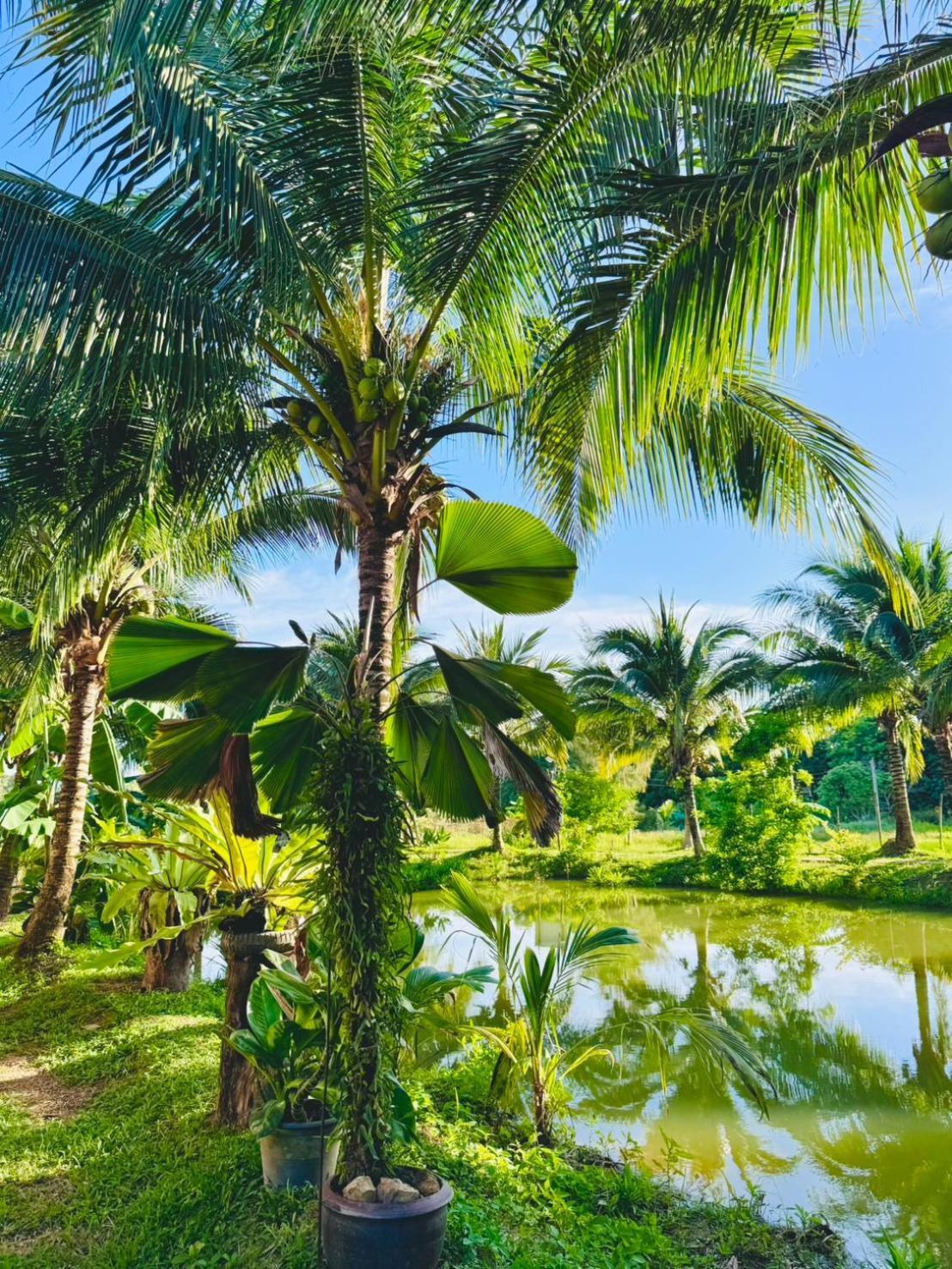 Bang Mee Homestay Koh Yao Noi 외부 사진