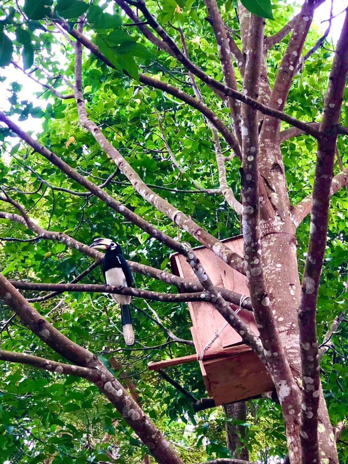 Bang Mee Homestay Koh Yao Noi 외부 사진