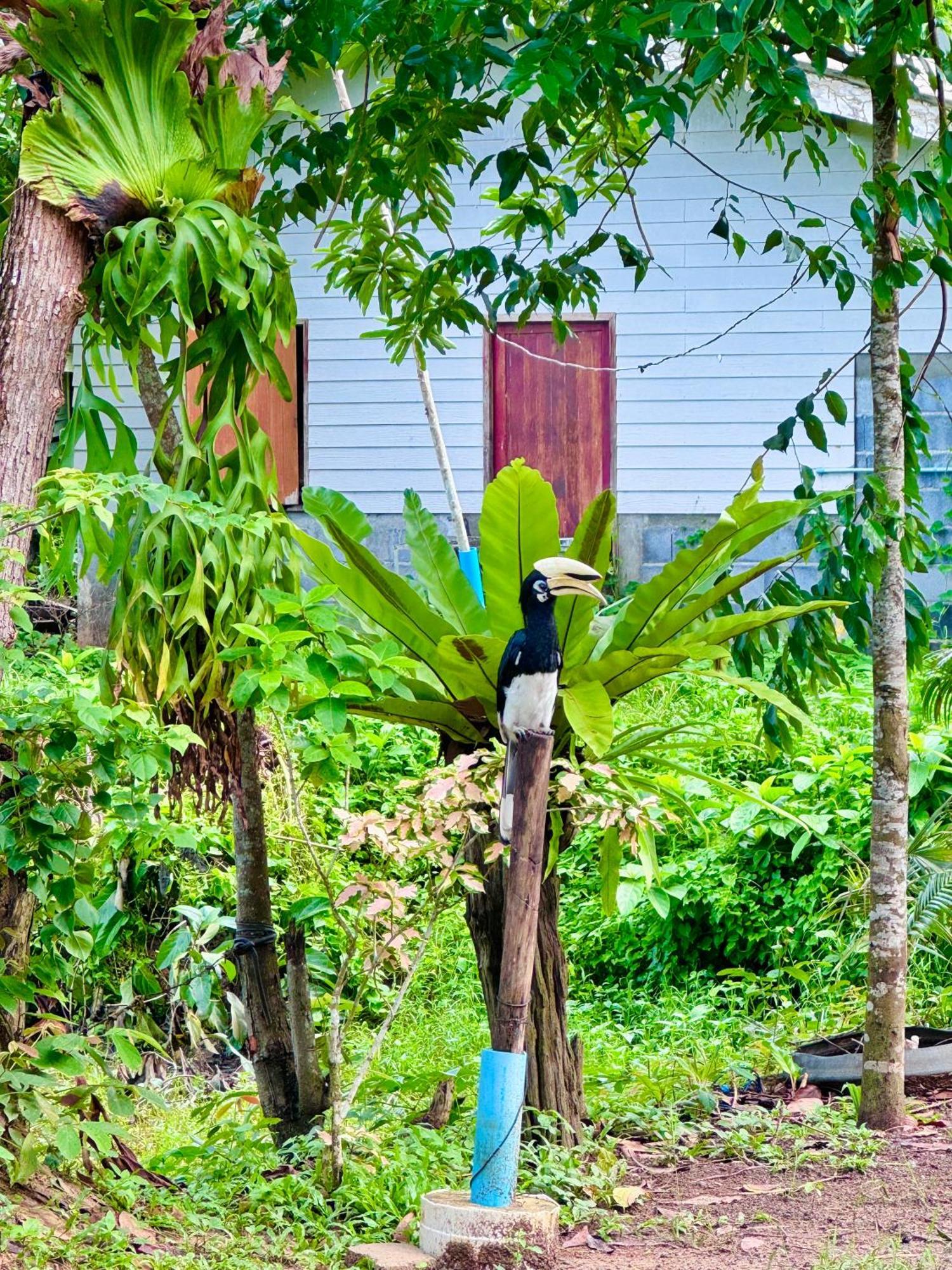 Bang Mee Homestay Koh Yao Noi 외부 사진